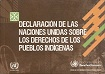Declaración de las naciones unidas sobre los derechos de los pueblos indígenas viñeta