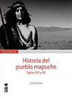 Historia del pueblo mapuche viñeta