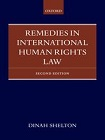 Remedies in international human rights law viñeta