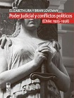Poder Judicial y conflictos políticos viñeta
