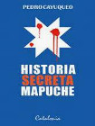 Historia secreta mapuche viñeta